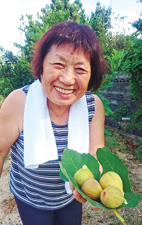 「おばあちゃんの農業」