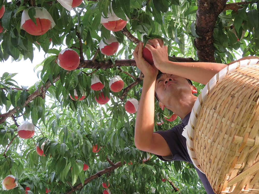 「ていねいにていねいに」