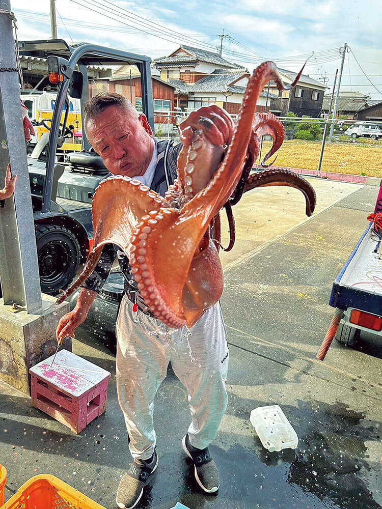 「たこのかいじゅう」