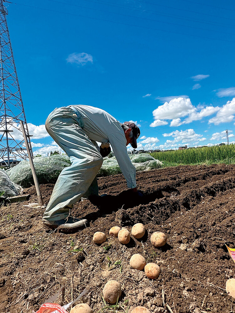 「まだまだ元気なおじいちゃん」