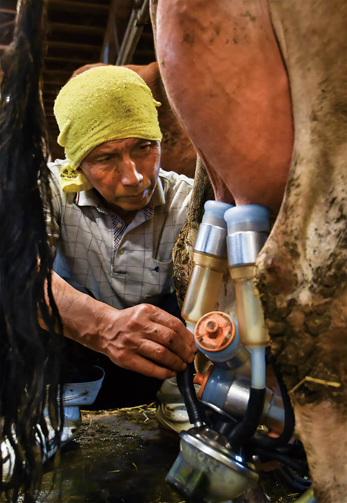 「愛情を込めて」
