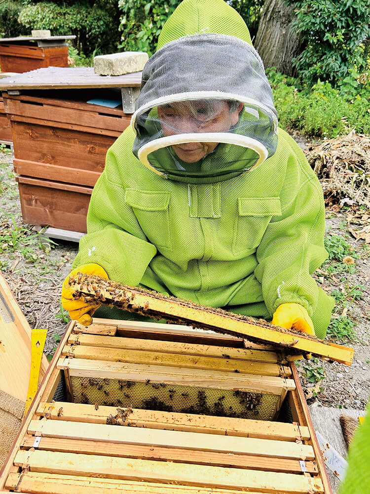 「養蜂家になったおじいちゃん」