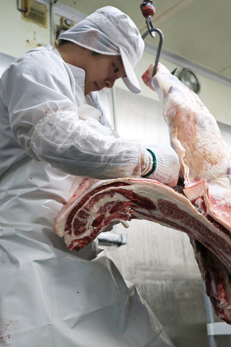 「命を繋ぐ技」