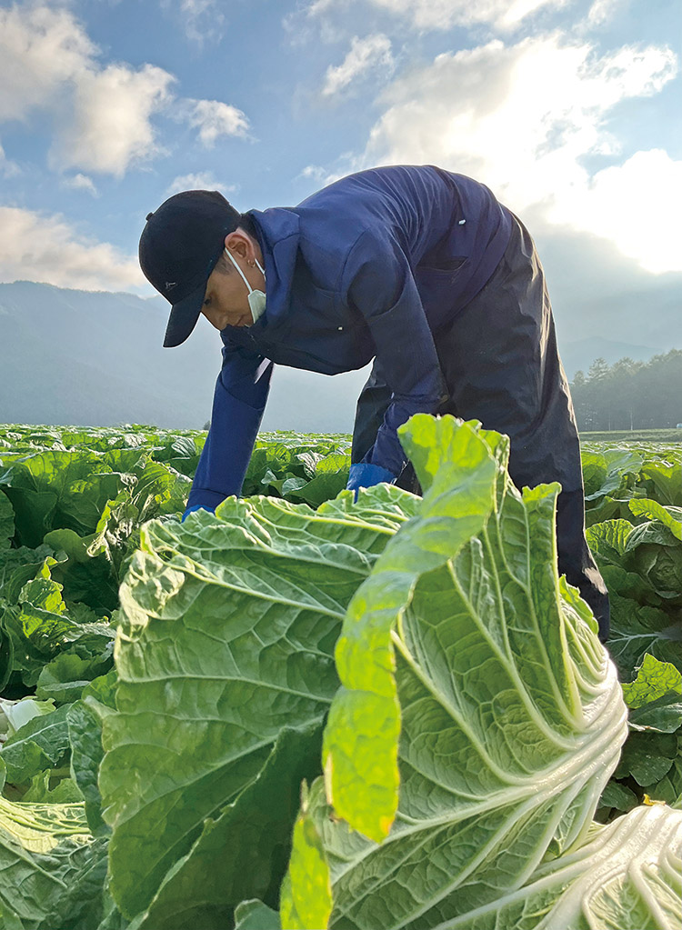 「輝け！海外から来た未来の職人」