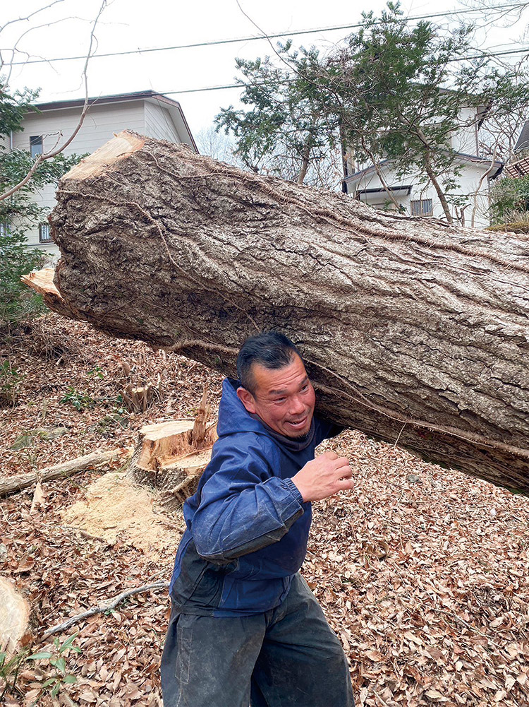 「でかい木を持ち上げる植木屋」