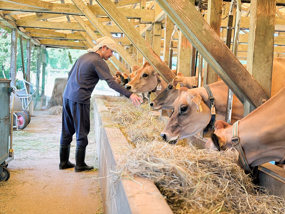 「いっぱいたべてね」
