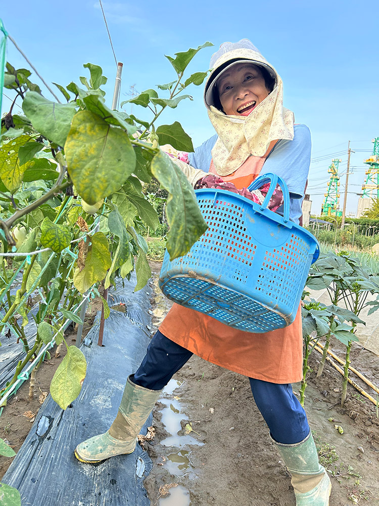 「畑でかがやくおばあちゃんのえがお」
