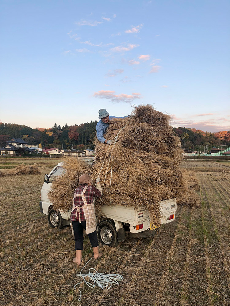 「つながる命」